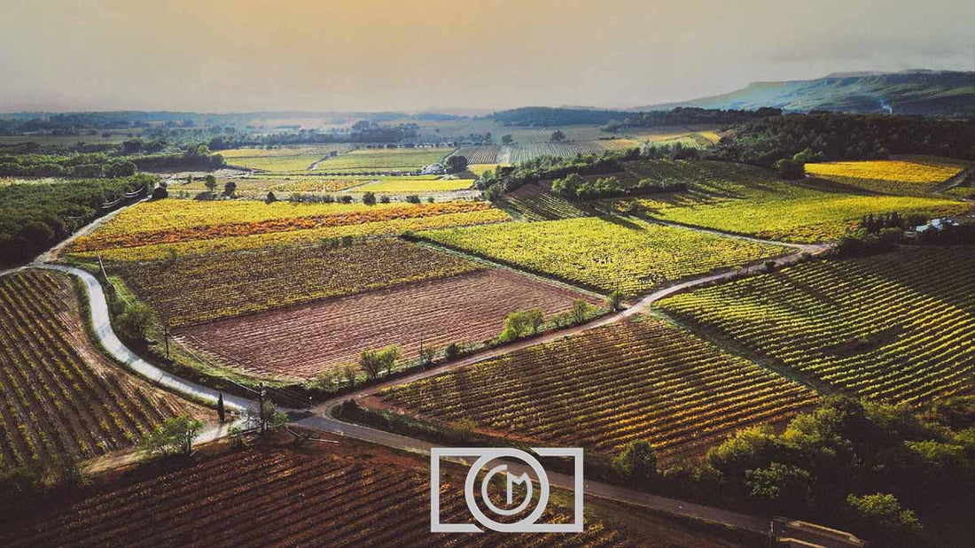 Photography of fields in France