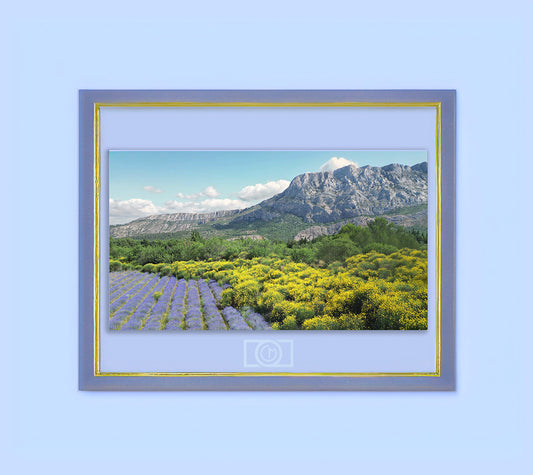 Photography of lavender fields